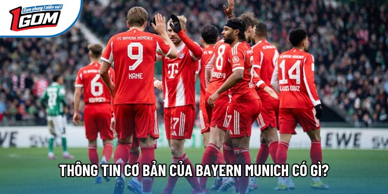 Thông tin cơ bản của Bayern Munich có gì? Thông tin cơ bản của Bayern Munich có gì?