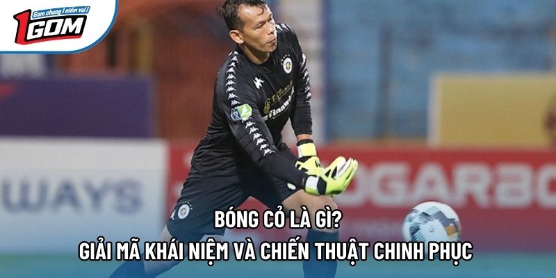 Bóng Cỏ Là Gì? Giải Mã Khái Niệm Và Chiến Thuật Chinh Phục