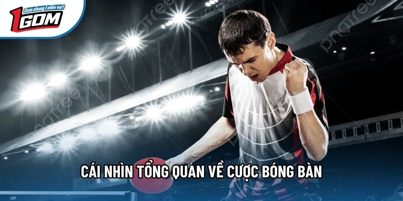 Cái nhìn tổng quan về cược bóng bàn