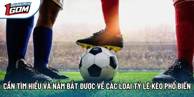 Cần tìm hiểu và nắm bắt được về các loại tỷ lệ kèo phổ biến Cần tìm hiểu và nắm bắt được về các loại tỷ lệ kèo phổ biến