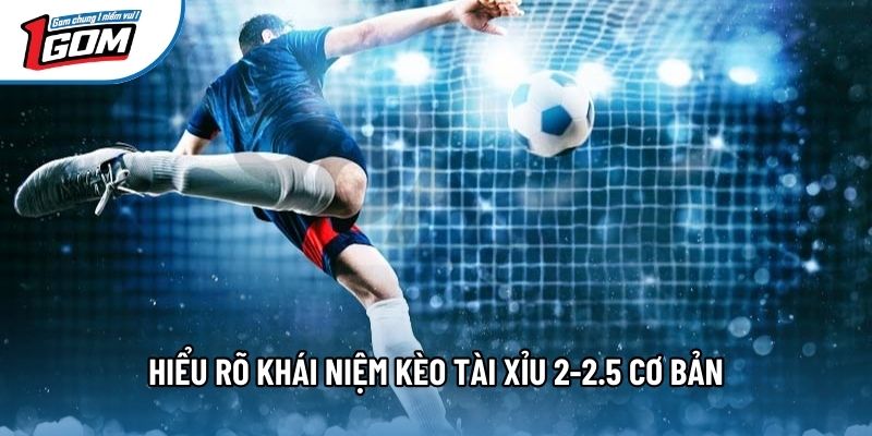 Hiểu rõ khái niệm kèo tài xỉu 2-2.5 cơ bản Hiểu rõ khái niệm kèo tài xỉu 2-2.5 cơ bản