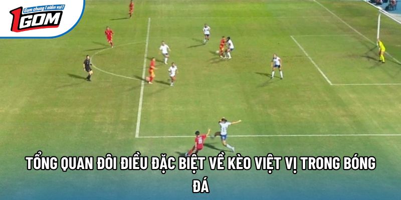 Tổng quan đôi điều đặc biệt về kèo việt vị trong bóng đá